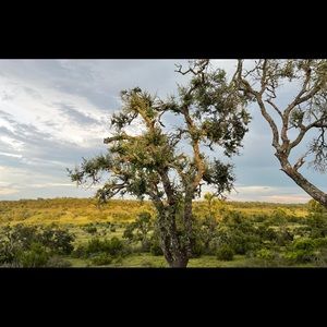 Meet your Posher, Paola